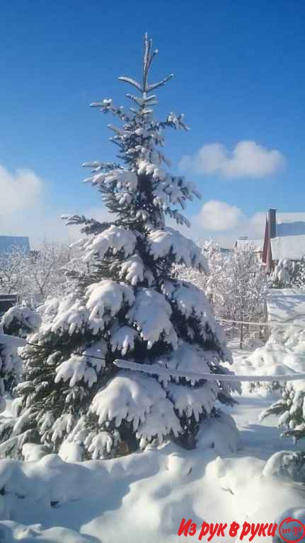 Здесь, в уютном сосновом срубе 6х9 м, изготовленного в ручную мастерам