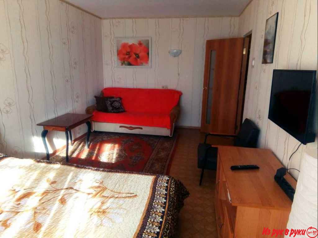 ЧАСЫ, СУТКИ. Уютная однокомнатная квартира посуточно около метро Петро