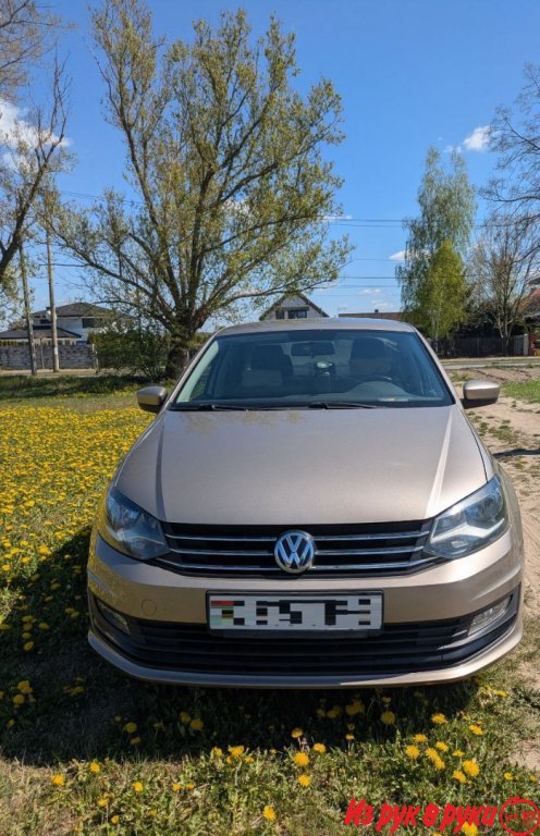  Polo