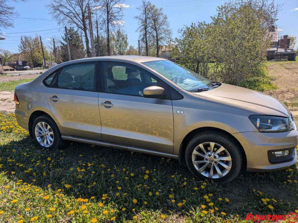  Polo