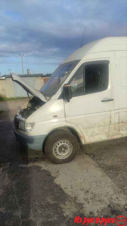  Sprinter